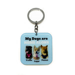 My Pet Is Home Alone Keychain Square - 2x Tags Dog Name Tags by Bashtags