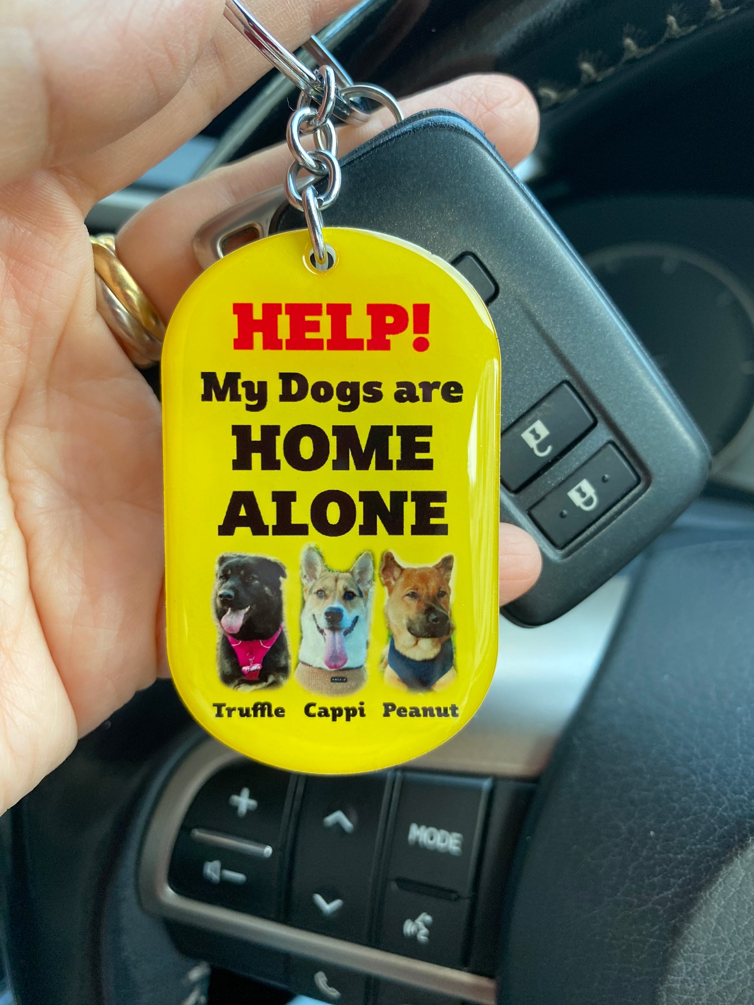 My Pet Is Home Alone Alert Keychain, Emergency Pet Keyring Tag, Emergency Contact Keychain Running Track Shape Tag