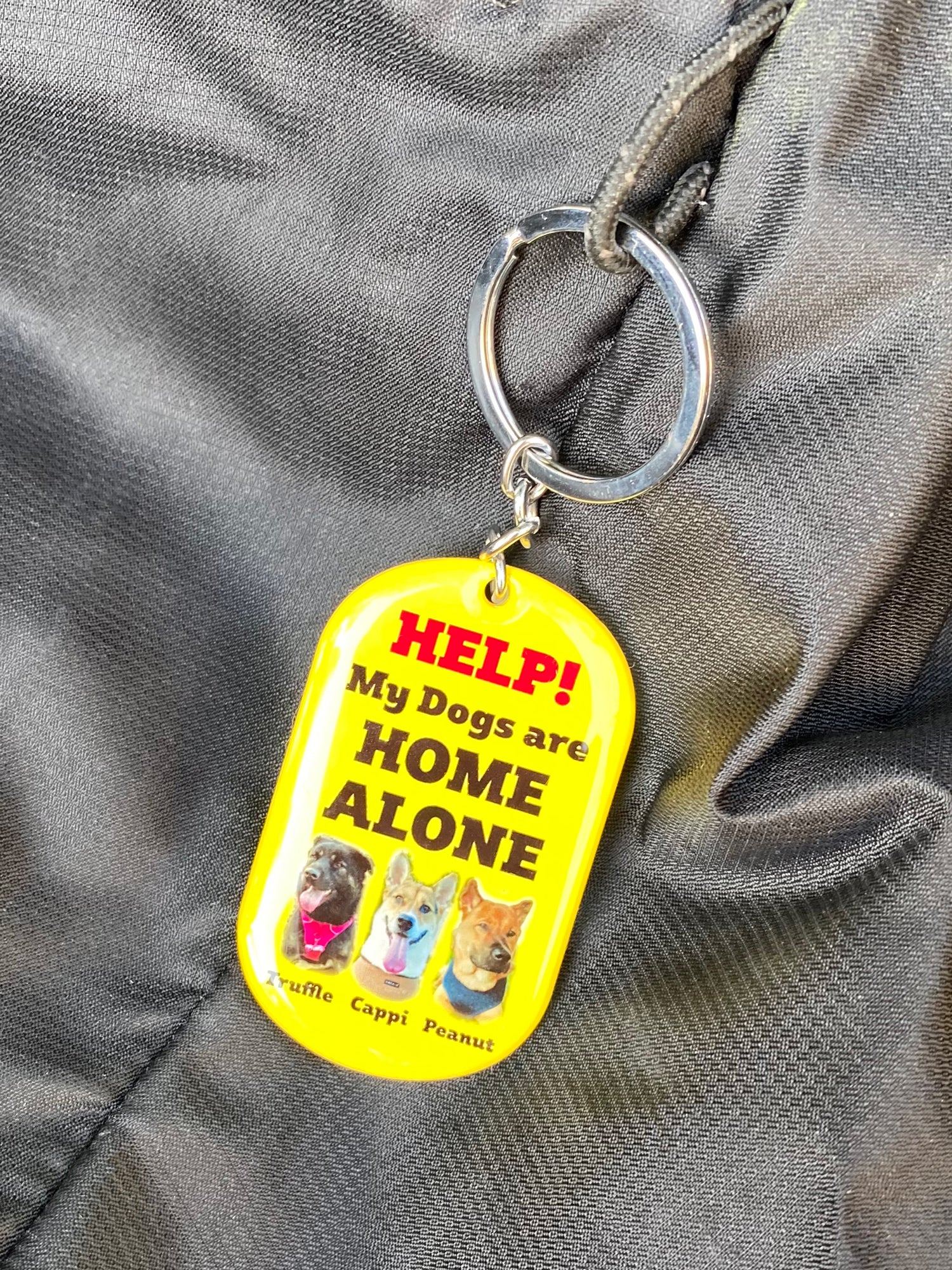 My Pet Is Home Alone Keychain Running Track - 2x Tags Dog Name Tags by Bashtags