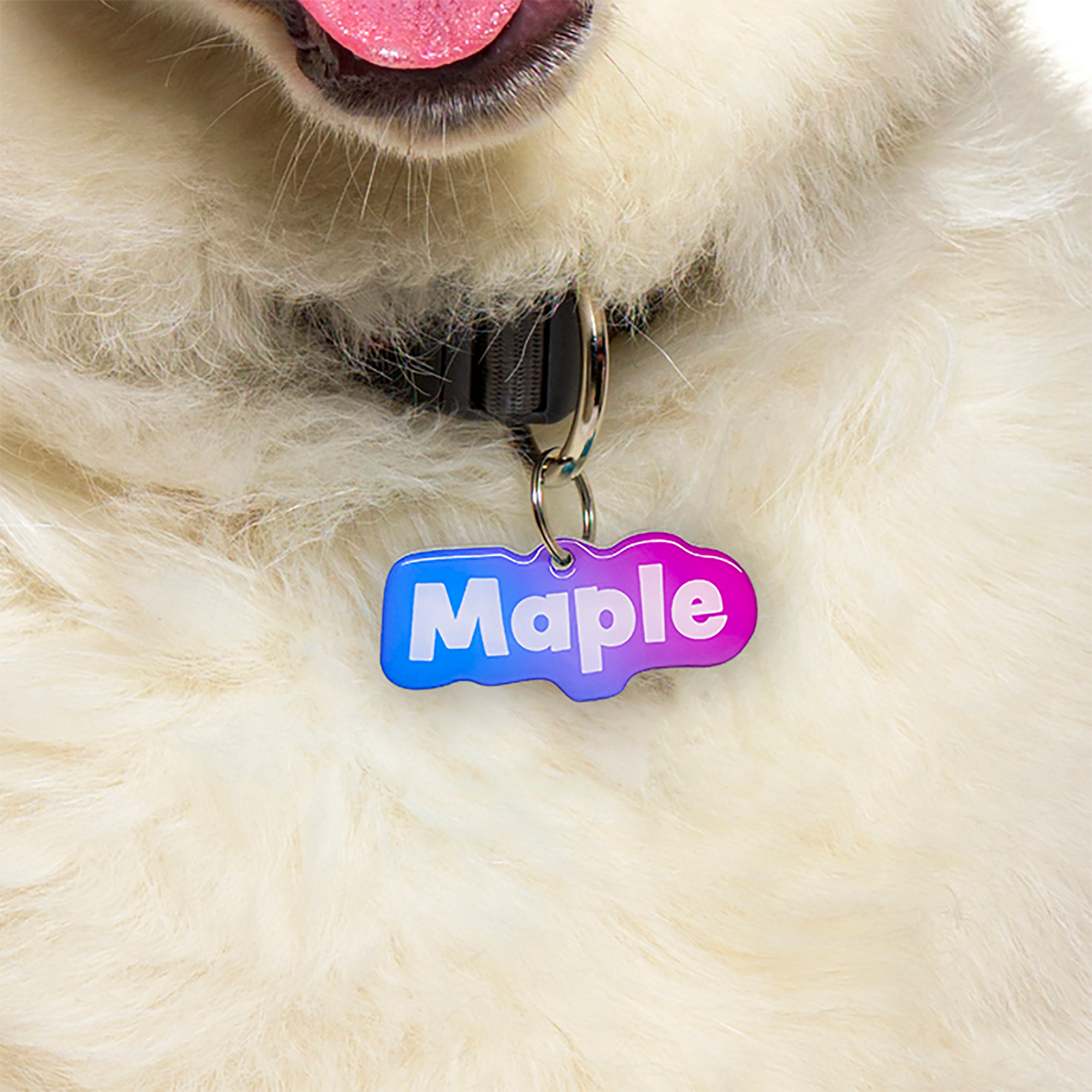Bubble Gum Mesh Gradient Pet ID Tag Dog Tag | Custom Pet ID Tags by Bashtags®