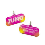 Citrus Punch - 2x Tags Dog Name Tags by Bashtags