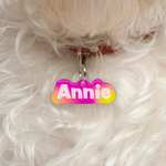 Citrus Punch - 2x Tags Dog Name Tags by Bashtags
