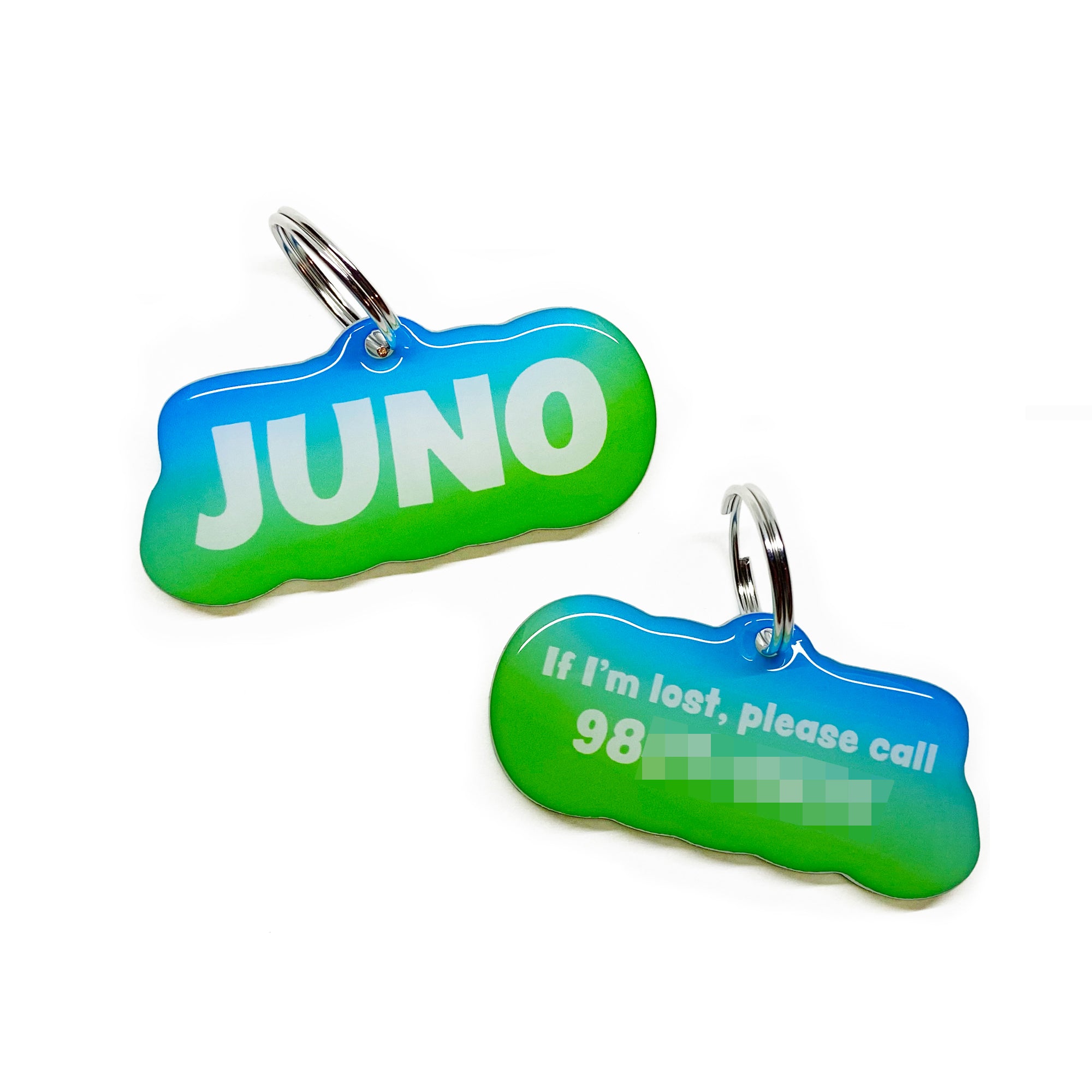 Lime Punch - 2x Tags Dog Name Tags by Bashtags