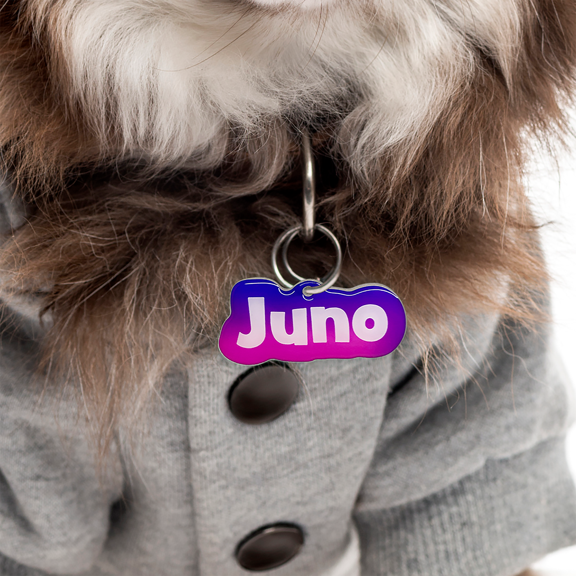 Raspberry Dog Tag Wildberries Mesh Gradient Pet ID Tag | Unique Pet ID Tags by Bashtags