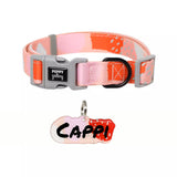 Puppy Gallery Peach Collar and Bashtag set