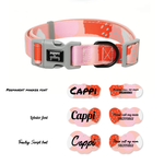 Puppy Gallery Peach Collar and Bashtag set