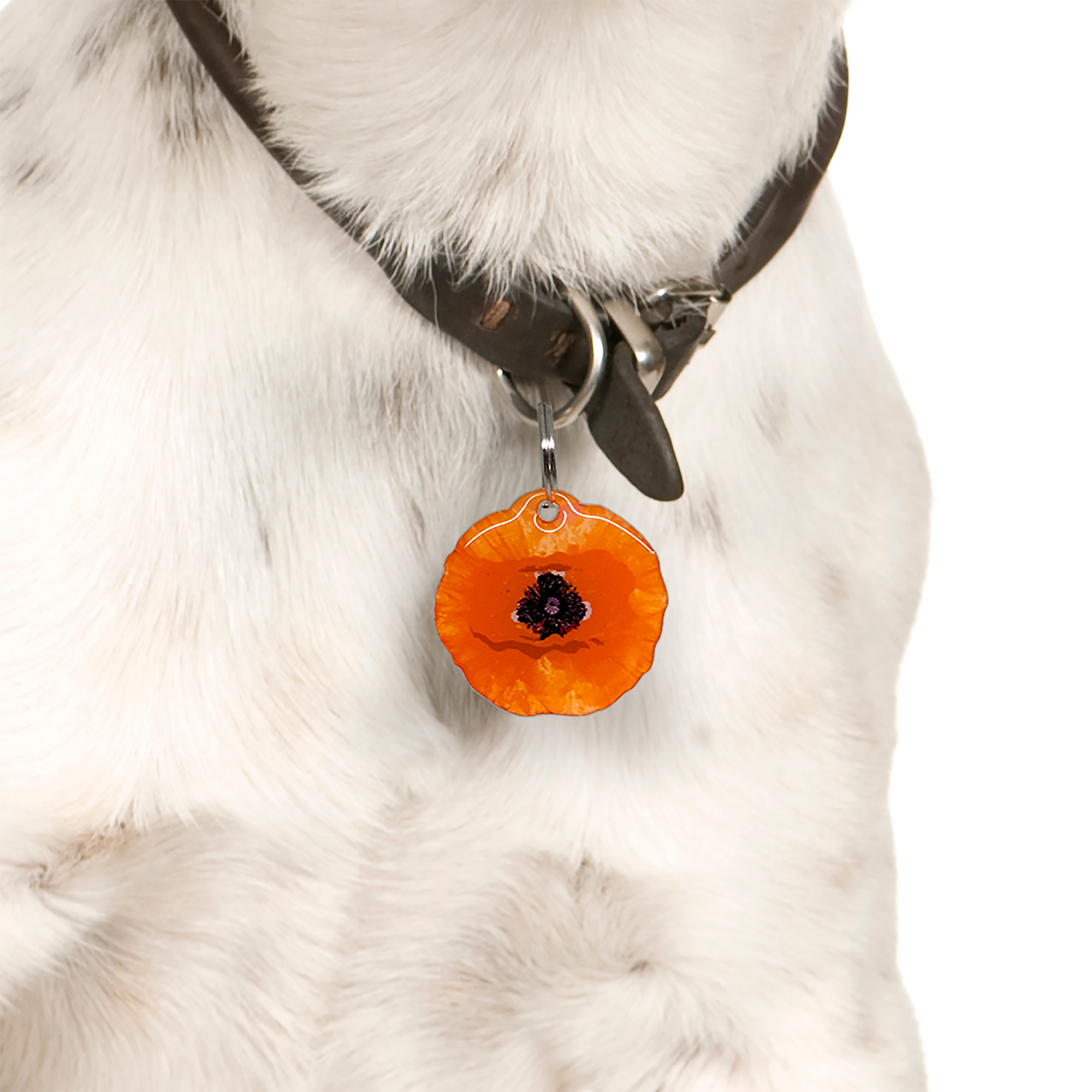 Orange Poppy - 2x Tags Dog Name Tags by Bashtags