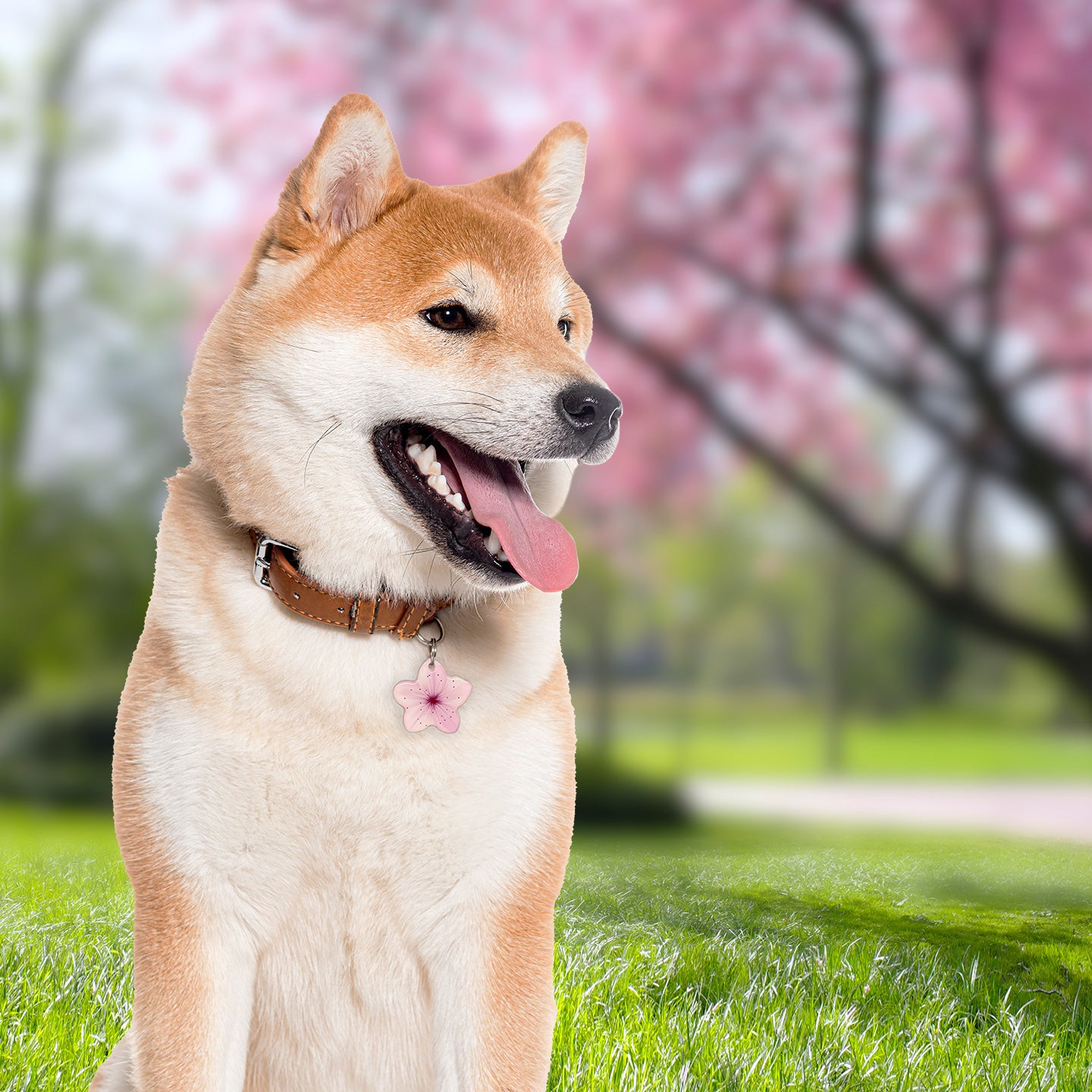 Sakura Cherry Blossoms Pet ID Tag | Unique Pet ID Tag by Bashtags™