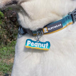 Custom Pet ID Tag Matching with Collar or Harness, Unique Pet Name Tags, Personalized with Name and Contact Info