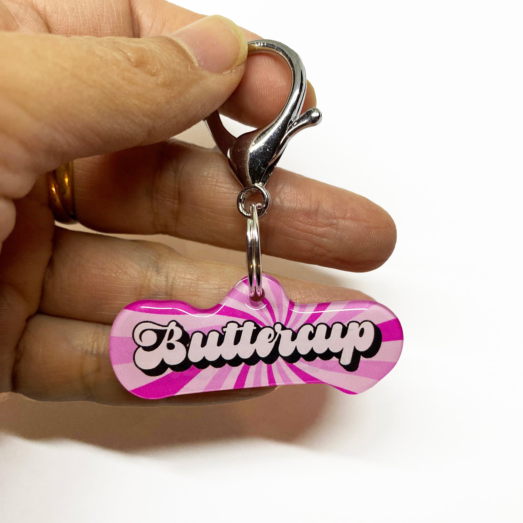 Strawberry Patch Frost Retro-Script Font Pet ID Tags