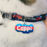 Custom Pet ID Tag Matching with Collar or Harness Dog Name Tags by Bashtags