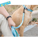 Puppy Gallery Tennis Collar and Bashtag set