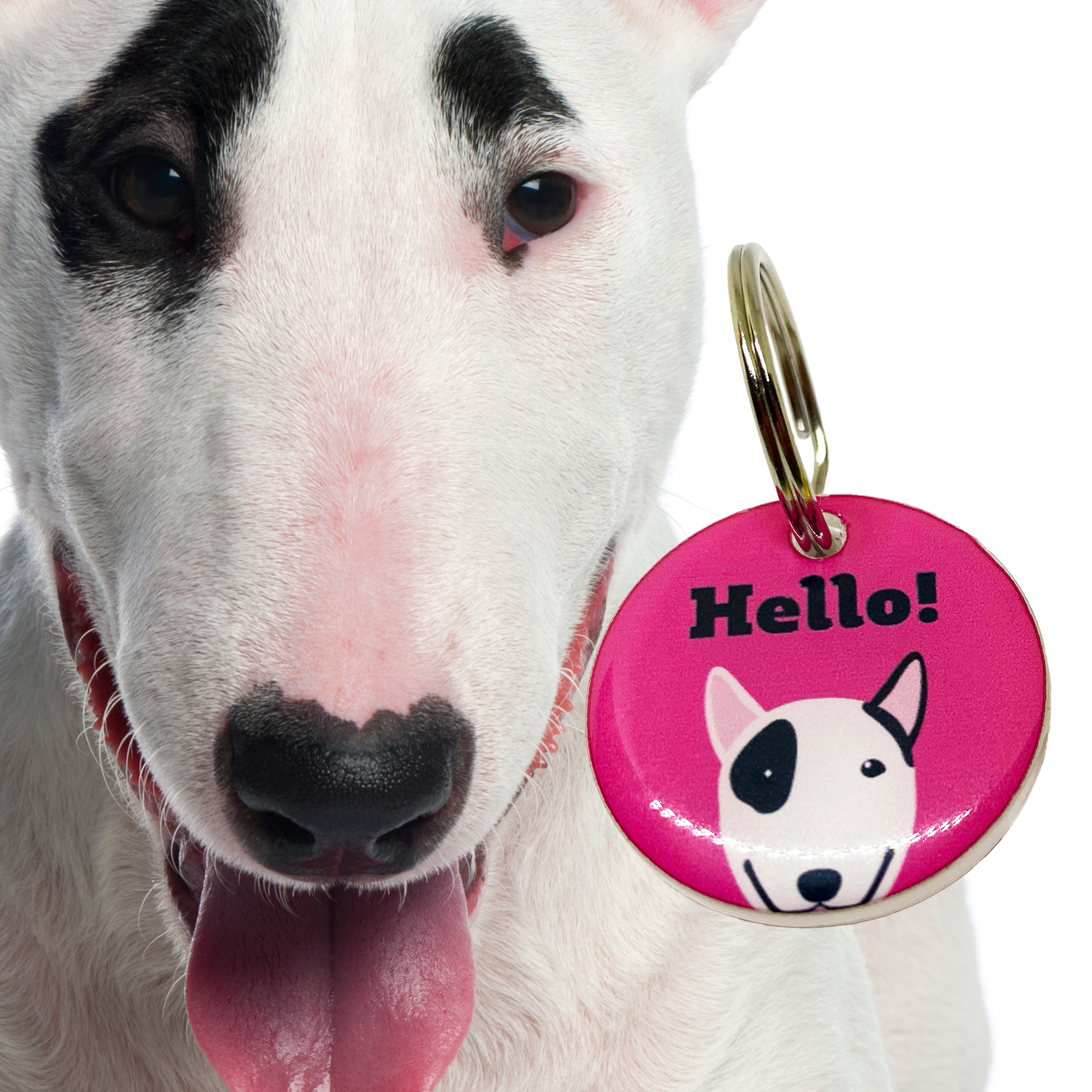 Bull Terrier - 2x Tags Dog Name Tags by Bashtags