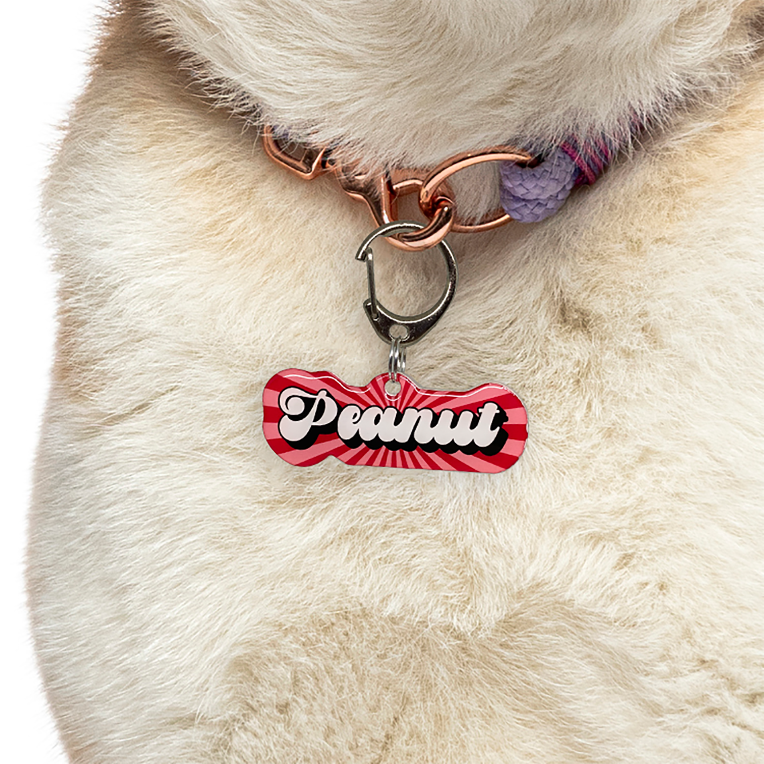 Cherry Bomb Retro-Script Font - 2x Tags Dog Name Tags by Bashtags