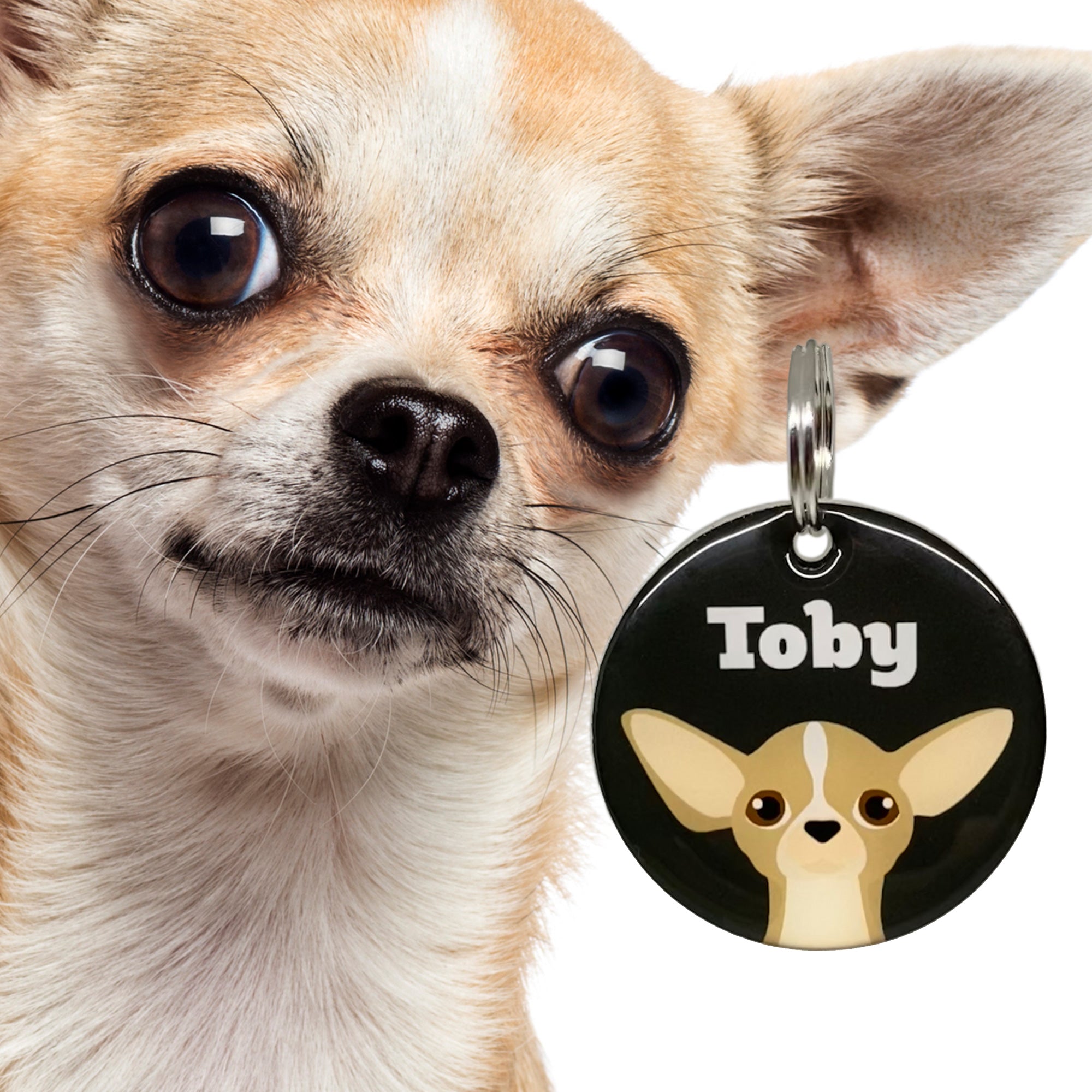 Tan Chihuahua Double-Sided Dog Tag | Unique Pet ID Tags by Bashtags®
