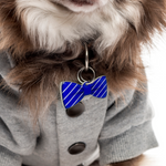 Blue Diagonal Stripes Bowtie Pet ID Tag Dog Tag | Custom Pet ID Tags by Bashtags®