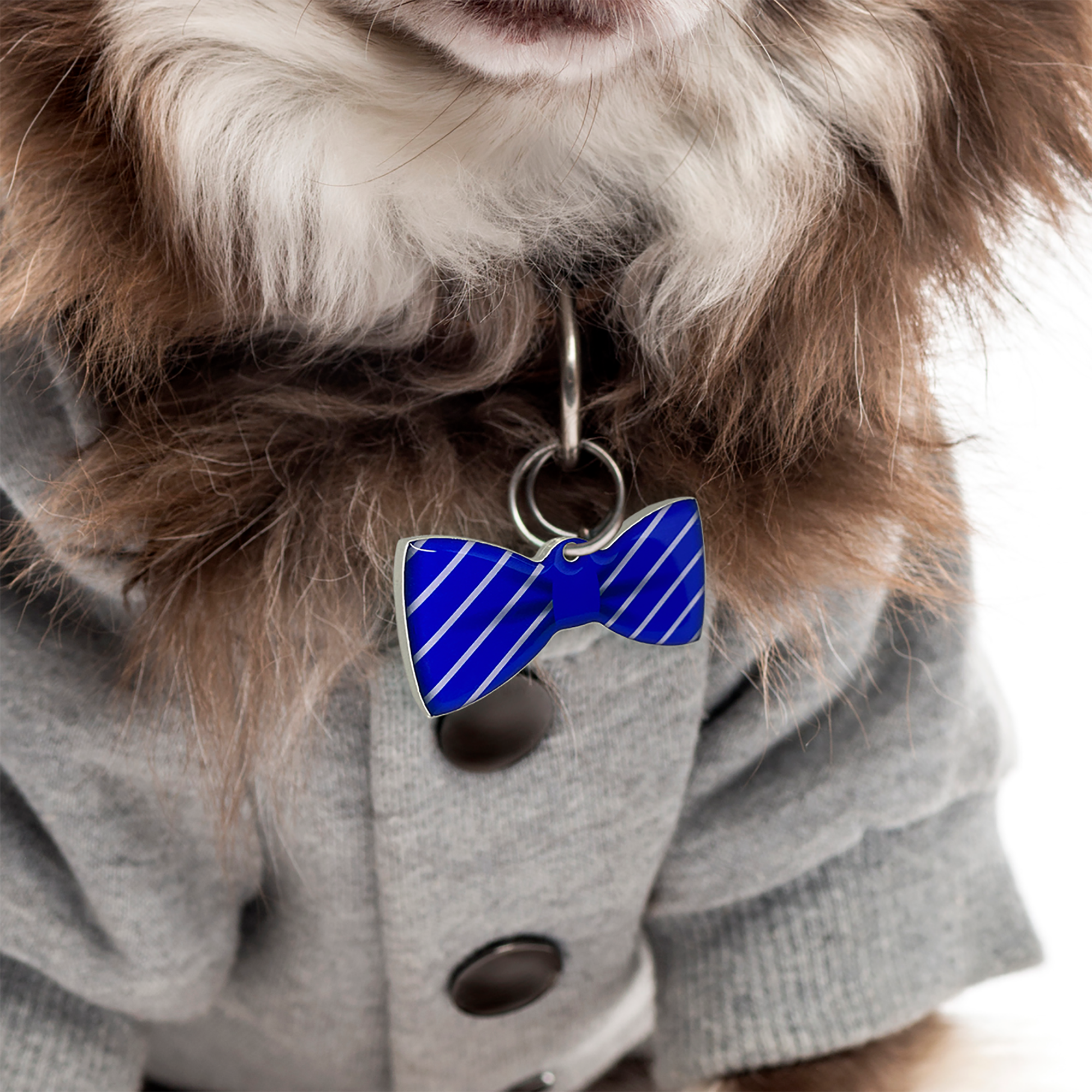 Blue Diagonal Stripes Bowtie Pet ID Tag Dog Tag | Custom Pet ID Tags by Bashtags®