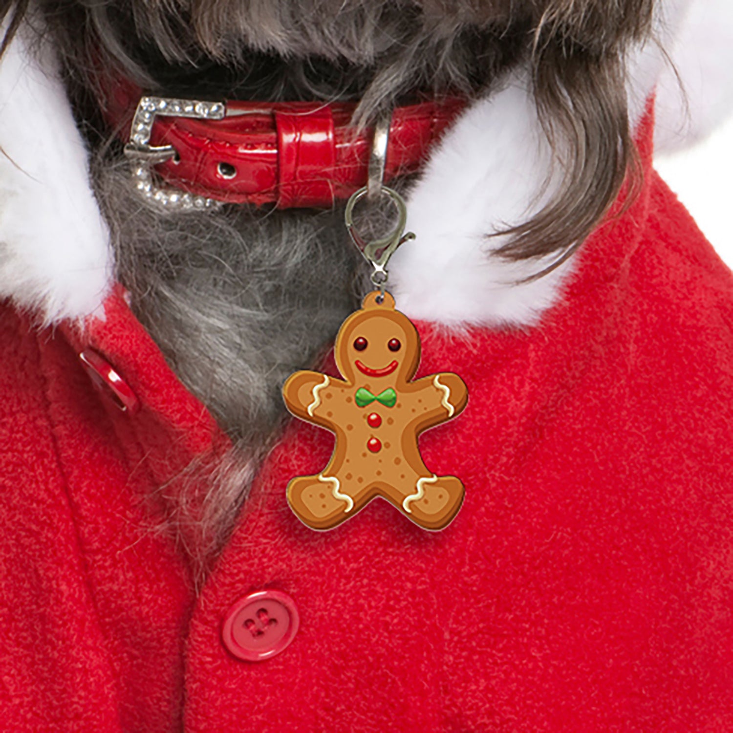 Gingerbread Boy Pet ID Tags | Unique Pet ID Tags by Bashtags