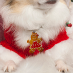 Gingerbread Lady Pet ID Tags | Unique Pet ID Tags by Bashtags