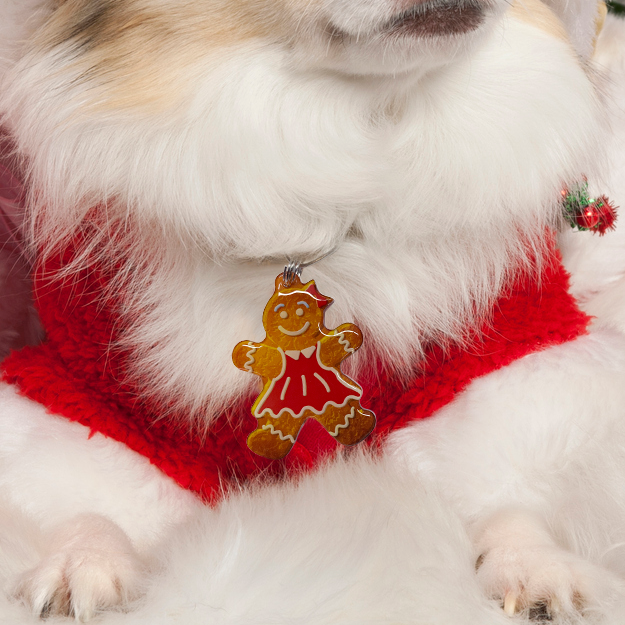 Gingerbread Lady Pet ID Tags | Unique Pet ID Tags by Bashtags