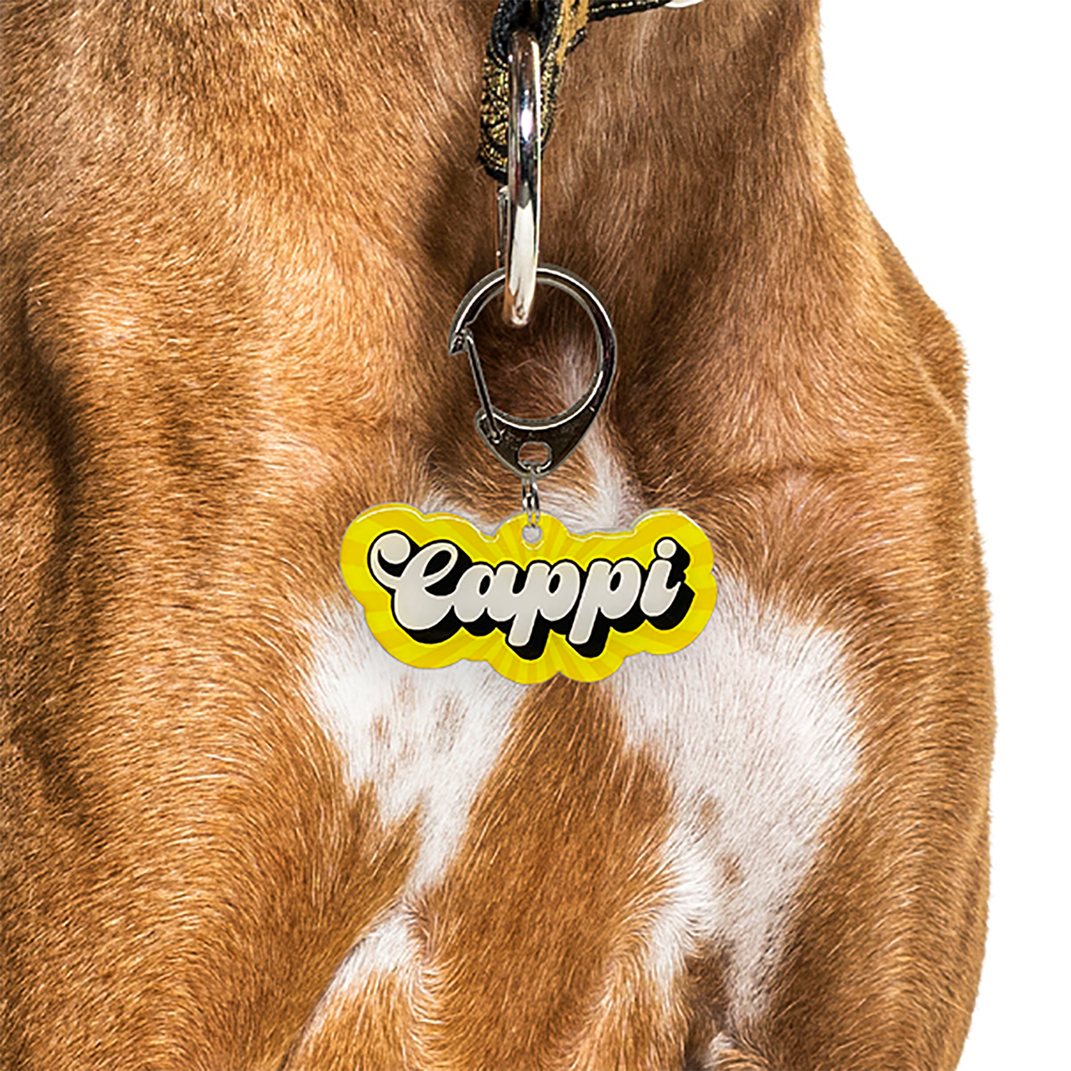 Islander Retro-Script Font - 2x Tags Dog Name Tags by Bashtags