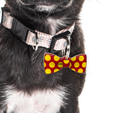 Ketchup & Mustard Polka Bowtie Pet ID Tag Dog Tag | Custom Pet ID Tags by Bashtags®