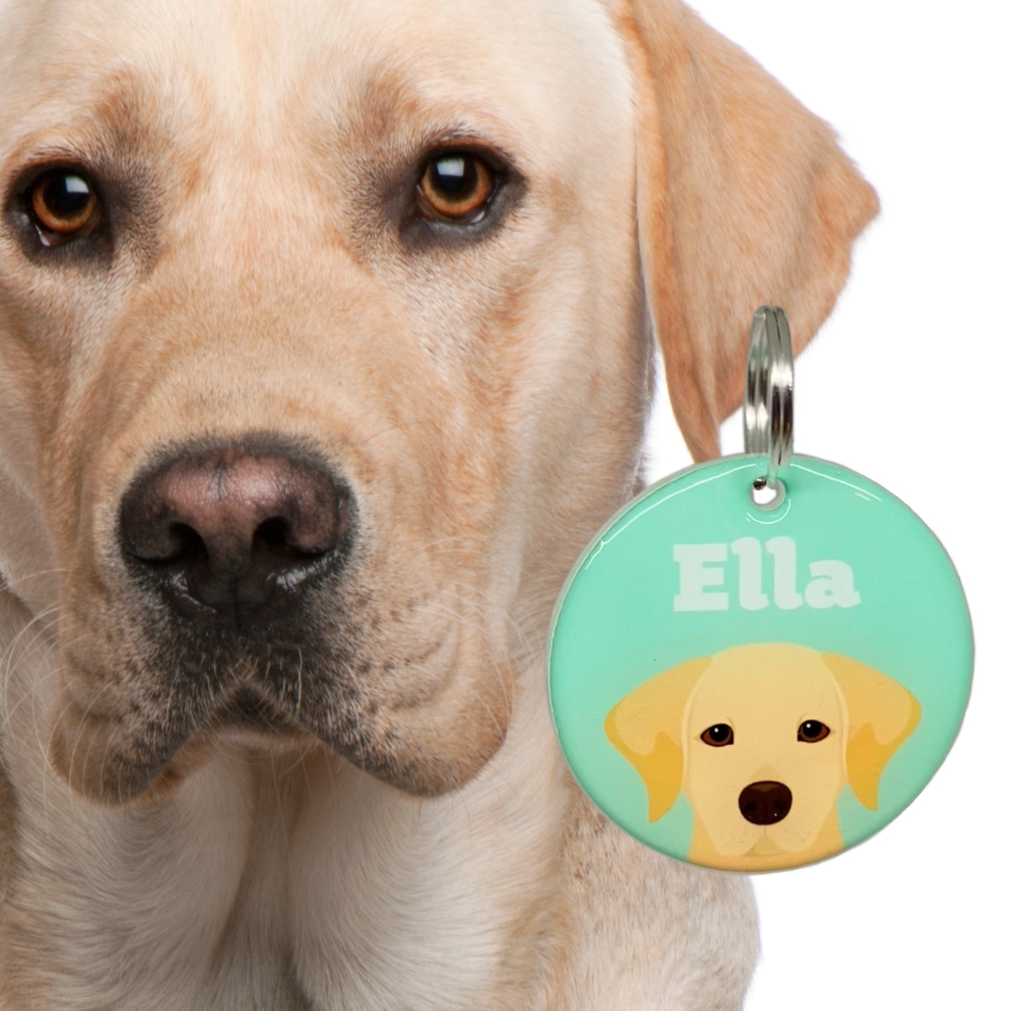 Labrador Retriever Double-Sided Dog Tag | Unique Pet ID Tags by Bashtags®