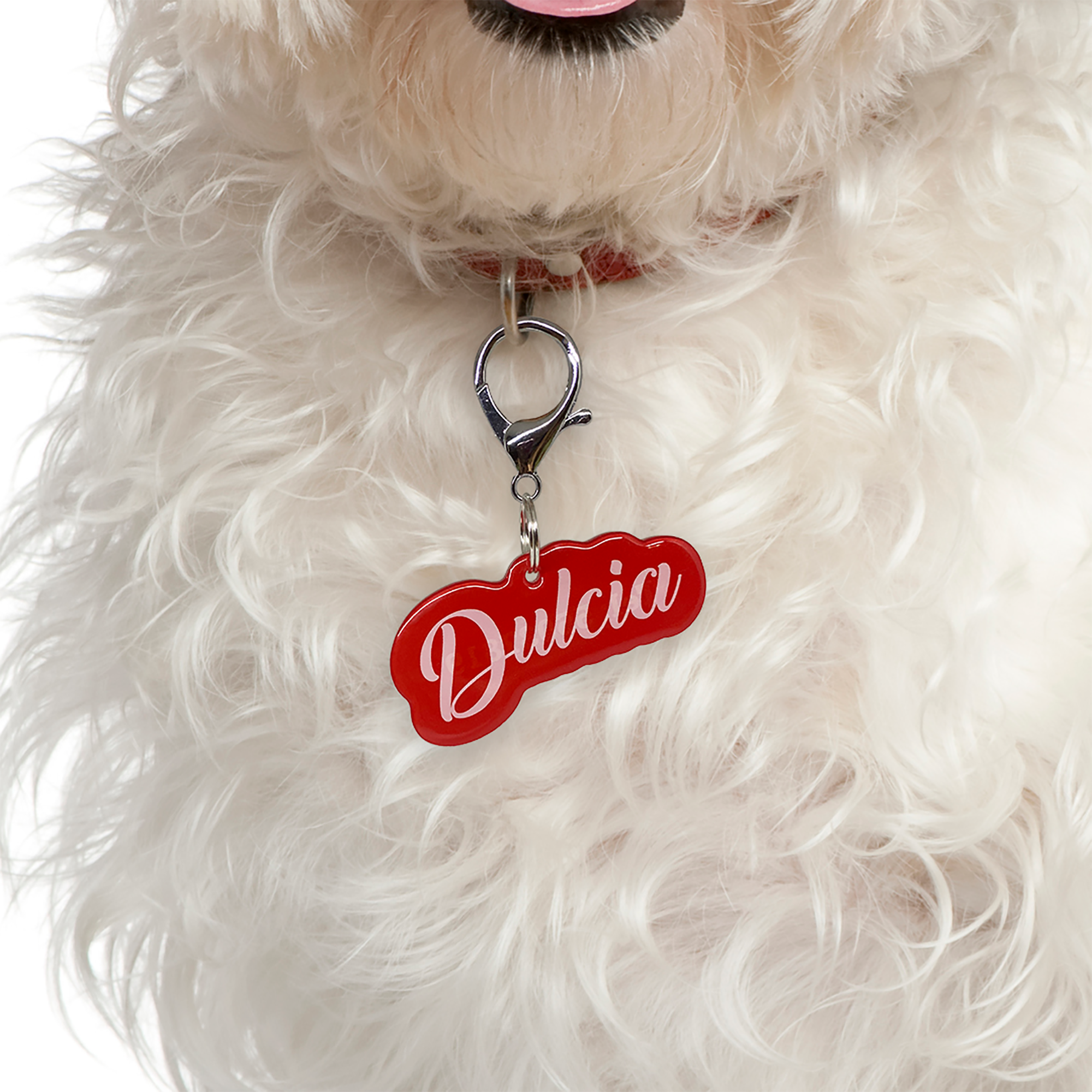 Red Love-Script Font - 2x Tags Dog Name Tags by Bashtags