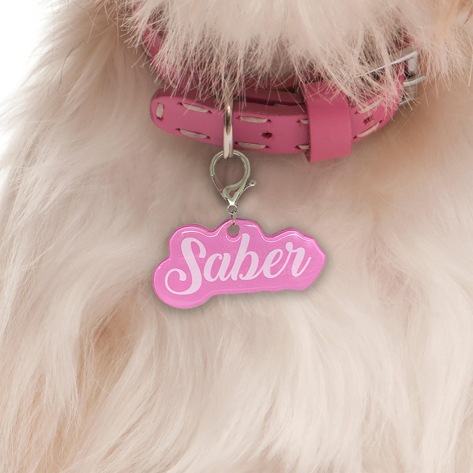 Tickle-Me Pink Love-Script Font - 2x Tags Dog Name Tags by Bashtags