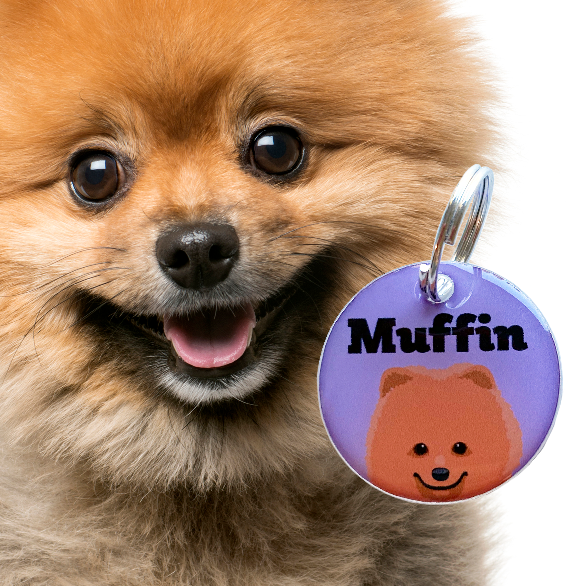 Pomeranian Double-Sided Dog Tag | Unique Pet ID Tags by Bashtags®