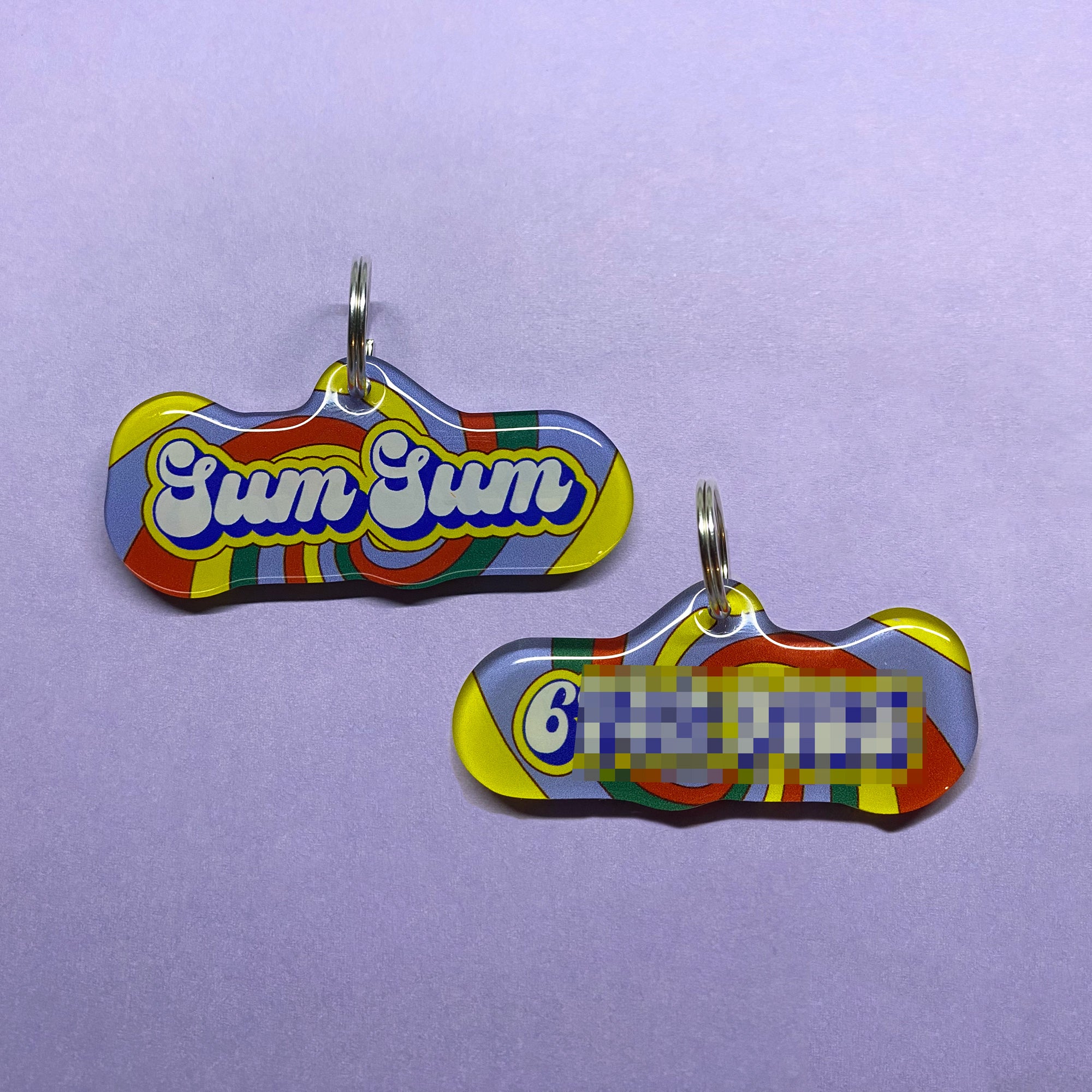 Ramune Float Retro-Script Font Dog Name Tag by Bashtags