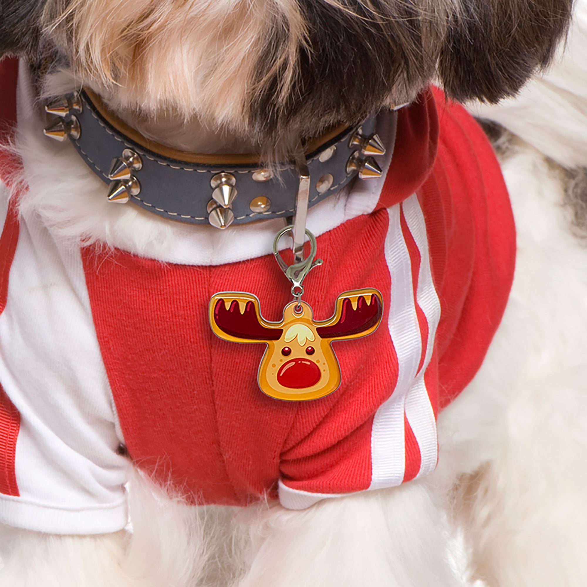 Gingerbread Reindeer Pet ID Tags | Unique Pet ID Tags by Bashtags