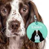 Springer Spaniel - 2x Tags Dog Name Tags by Bashtags