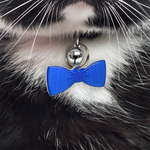Blue Wavy Stripes Bowtie Pet ID Tag Dog Tag | Custom Pet ID Tags by Bashtags®