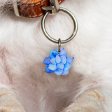 Blue Lotus Succulent - 2x Tags Dog Name Tags by Bashtags