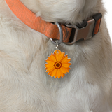 Carrot Orange Daisy Pet ID Tag Dog Tag | Custom Pet ID Tags by Bashtags®