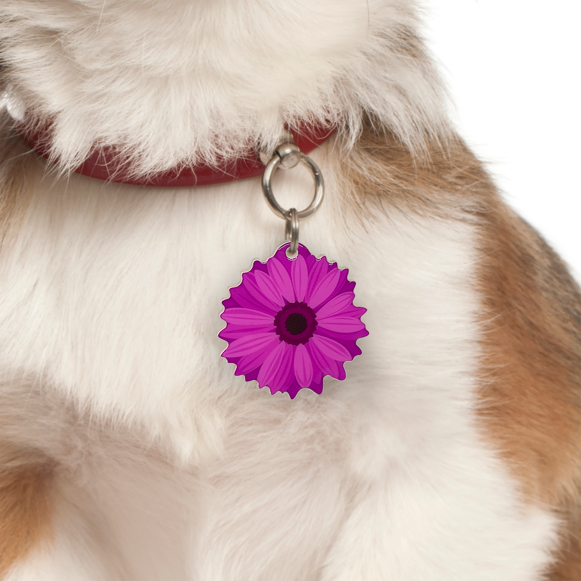Thulian Pink Daisy Pet ID Tag Dog Tag | Custom Pet ID Tags by Bashtags®