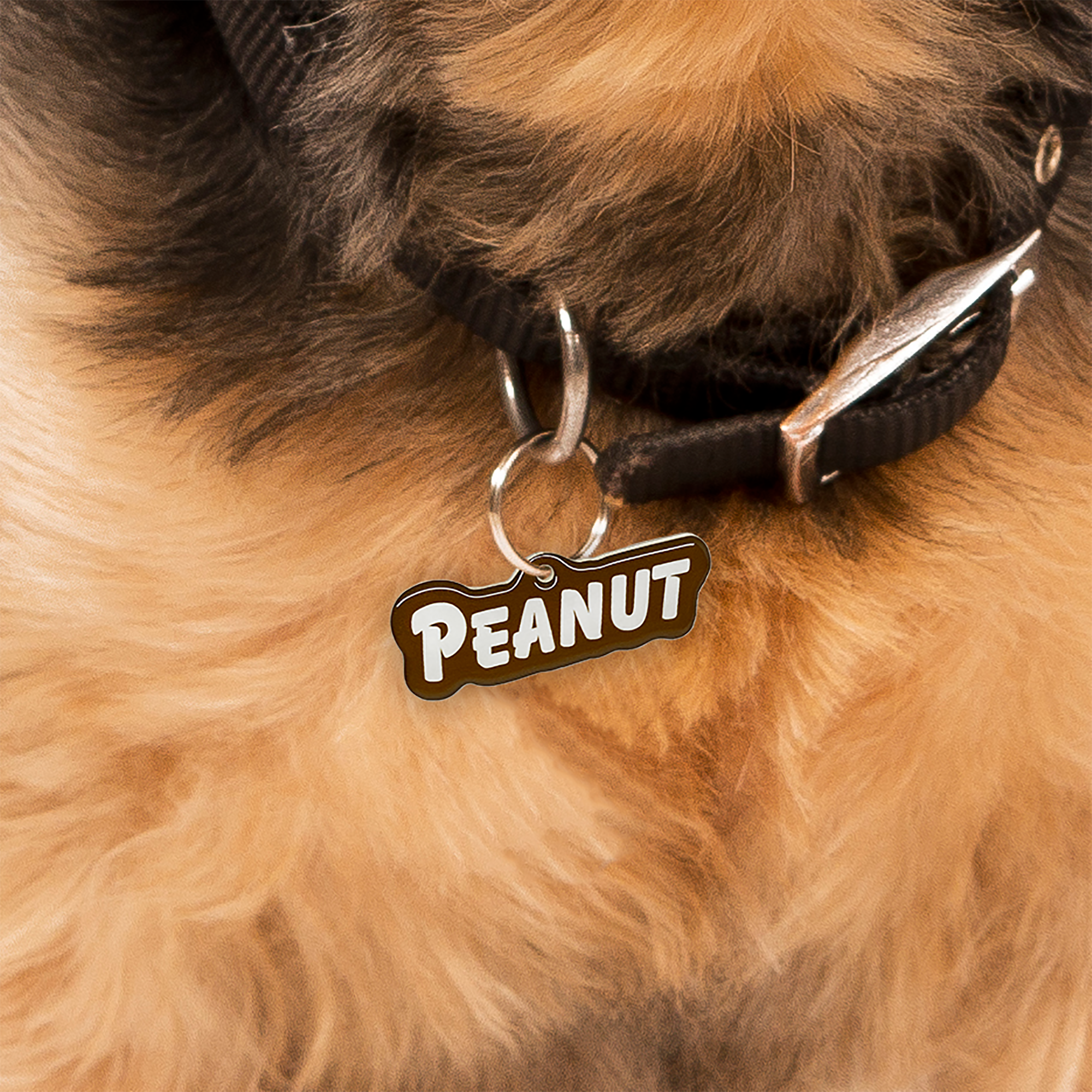 Brown Goofy Font Pet ID Tag by Bashtags