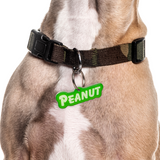 Lime Green Goofy Font Pet ID Tag by Bashtags