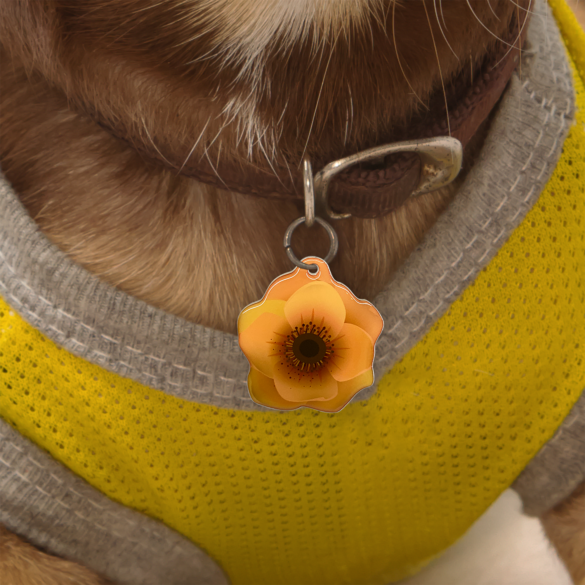 Marigold Hibiscus Pet ID Tag Dog Tag | Custom Pet ID Tags by Bashtags®