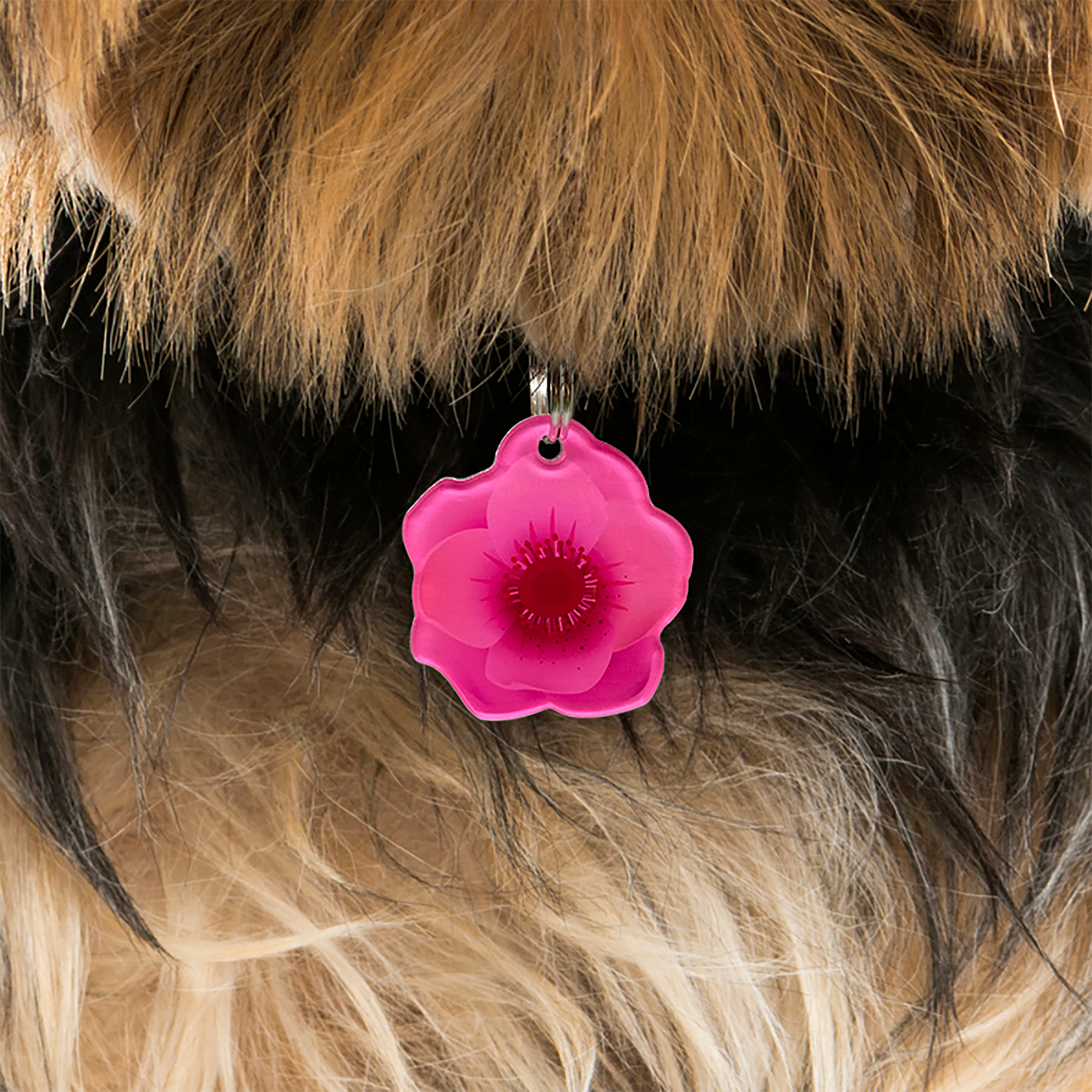 Ruber Hibiscus - 2x Tags Dog Name Tags by Bashtags