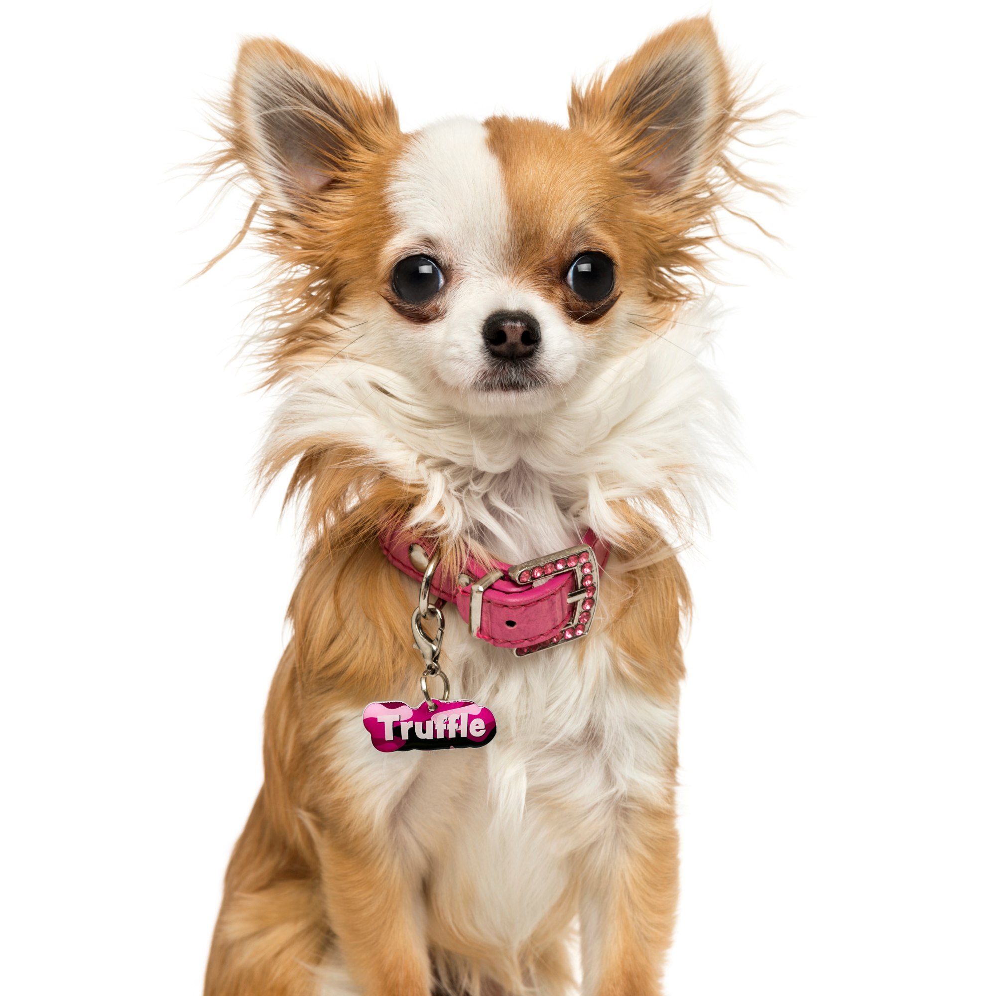 Camo Hot Fuchsia Rock-Sugar Font - 2x Tags Dog Name Tags by Bashtags