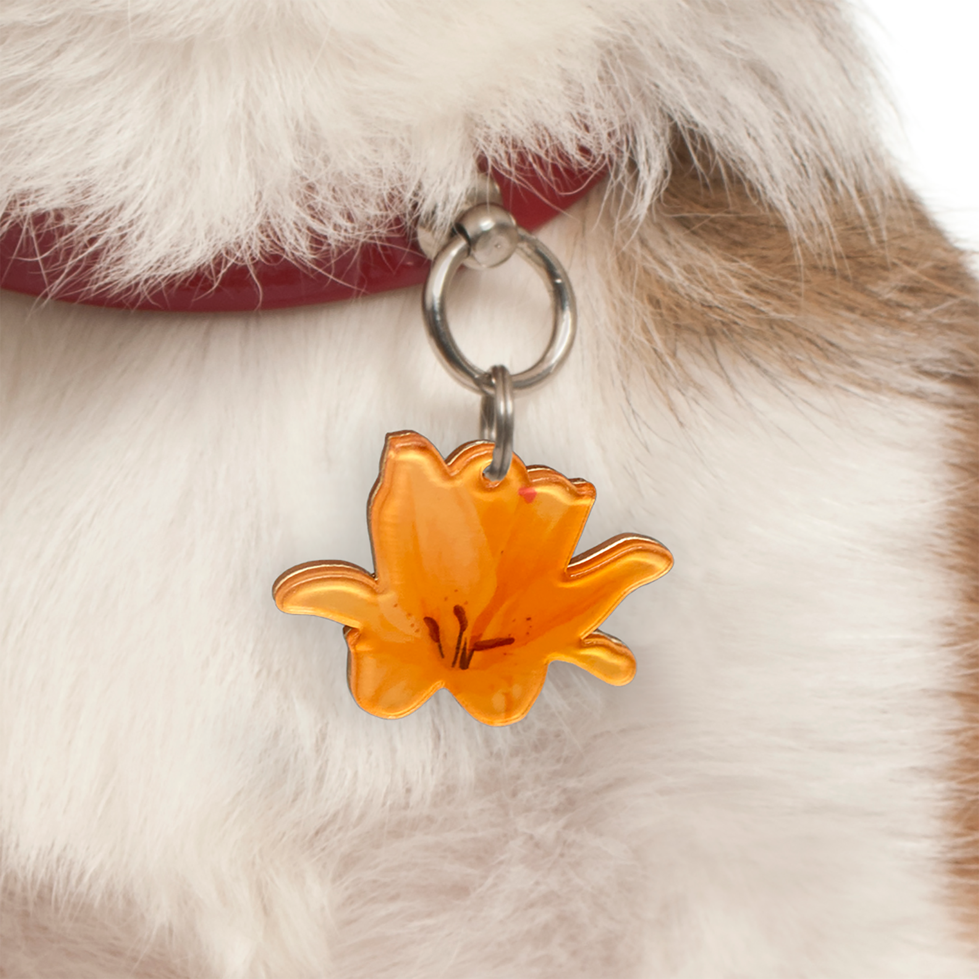Orange Lily Pet ID Tag Dog Tag | Custom Pet ID Tags by Bashtags®