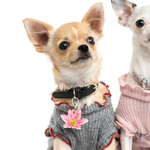 Pink Lily Pet ID Tag Dog Tag | Custom Pet ID Tags by Bashtags®