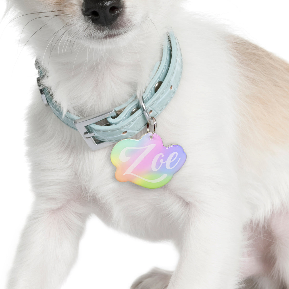 Pastel Rainbow - 2x Tags Dog Name Tags by Bashtags