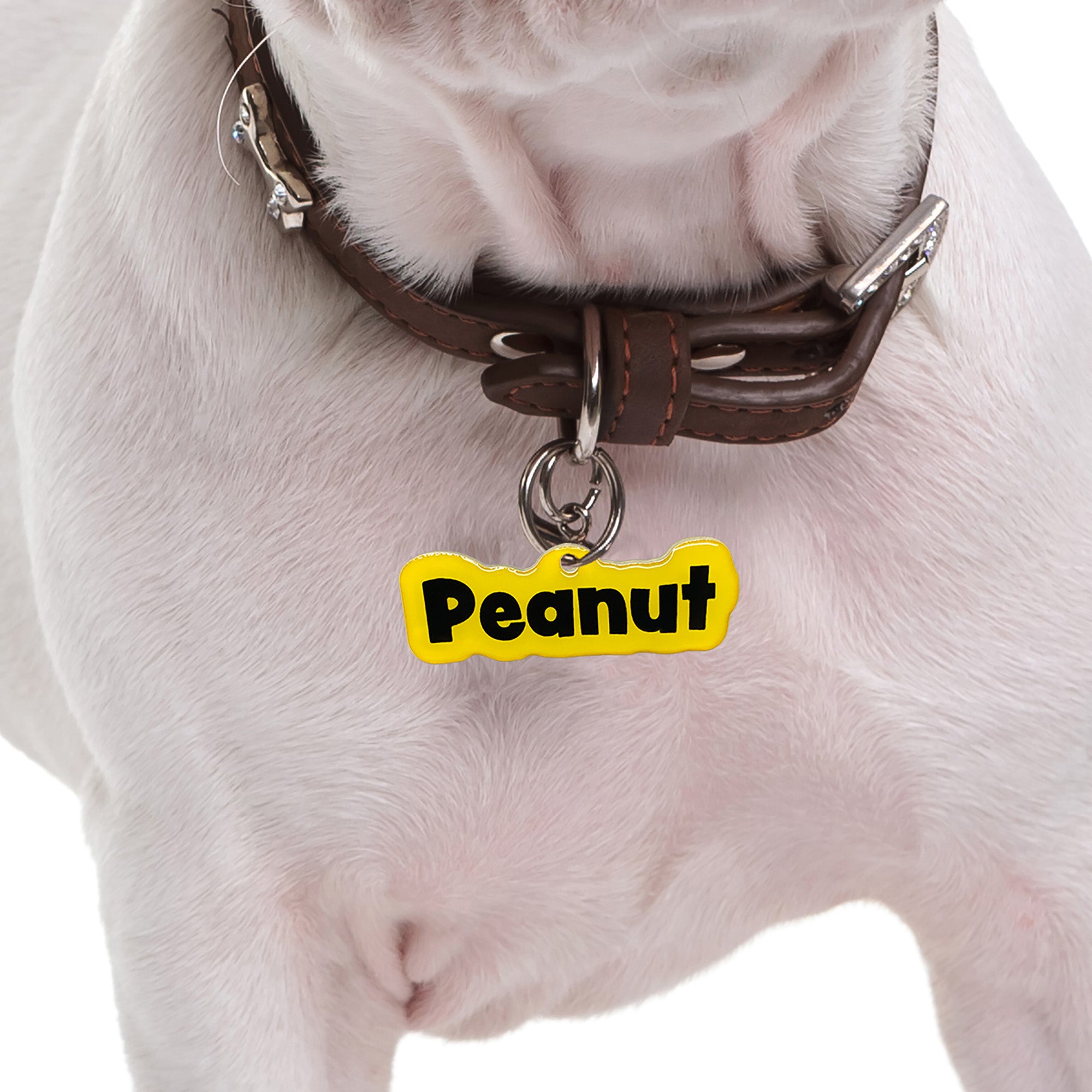 Golden Yellow Rock-Sugar Font (Black Lettering) - 2x Tags Dog Name Tags by Bashtags
