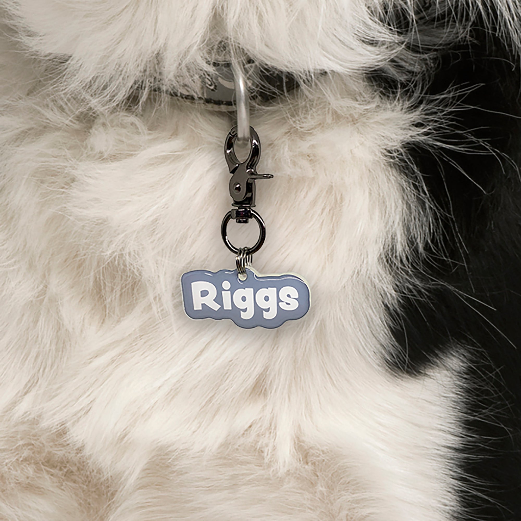 Grey Rock-Sugar Font - 2x Tags Dog Name Tags by Bashtags
