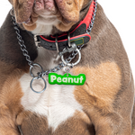 Lime Green Rock-Sugar Font Pet ID Tag by Bashtags