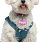 Tickle-Me Pink Rock-Sugar Font Pet ID Tag by Bashtags
