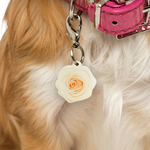 Rose Pet ID Tag Dog Tag | Custom Pet ID Tags by Bashtags®